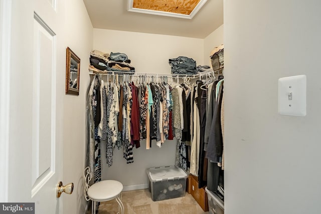 14 Burk Rd, Cochranville, PA 19330 - walk in closet with carpet