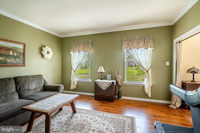 14 Burk Rd, Cochranville, PA 19330 - living room featuring crown molding and wood-type flooring