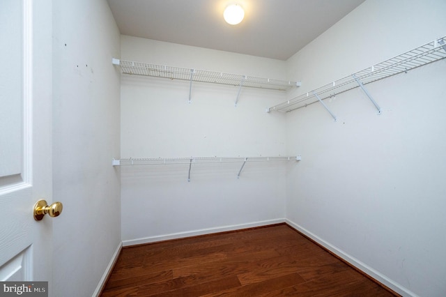 3217 Garfield Ave, Reading, PA 19605 - spacious closet featuring dark wood-style floors