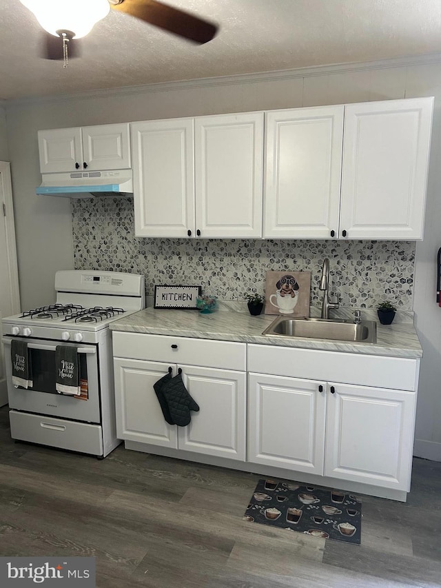 217 Washington St, Trenton, NJ 08611 - kitchen with white gas range, under cabinet range hood, white cabinetry, tasteful backsplash, and ornamental molding
