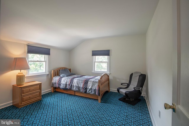 56 Meadowbrook Ave, Hatboro, PA 19040 - bedroom with multiple windows, dark carpet, and vaulted ceiling