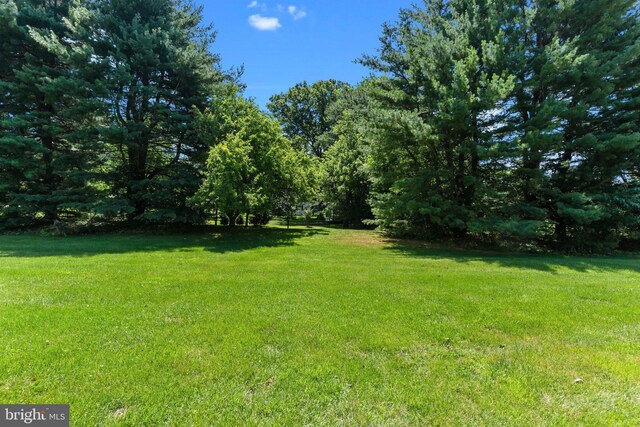 31 Violet Ln, Newtown, PA 18940 - view of grassy yard