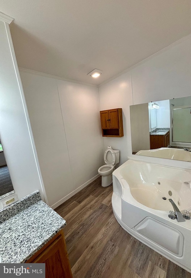 269 Grand View Dr, Keyser, WV 26726 - full bath featuring wood finished floors, a jetted tub, vanity, and a shower with door