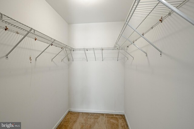 2107 Carol Ln, East Norriton, PA 19401 - walk in closet with carpet floors