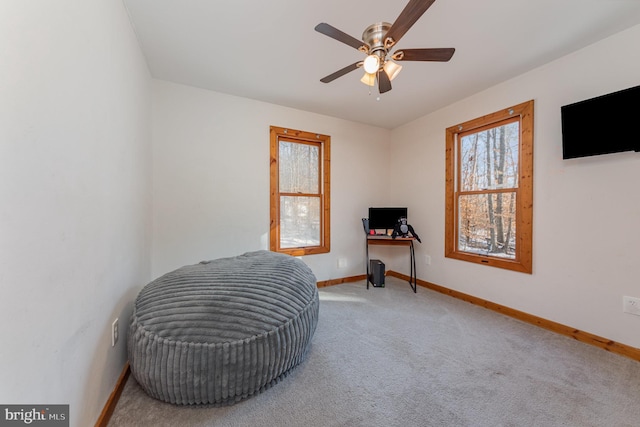 1702 Willow Brook Rd, Bumpass, VA 23024 - miscellaneous room with healthy amount of natural light, carpet, a ceiling fan, and an office area