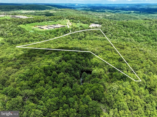 LOT3 Shermans Mountain Rd, Tremont, PA 17981