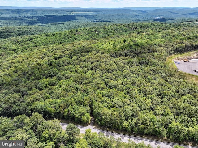 LOT3 Shermans Mountain Rd, Tremont, PA 17981