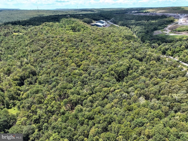 LOT3 Shermans Mountain Rd, Tremont, PA 17981