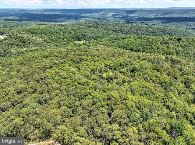 LOT3 Shermans Mountain Rd, Tremont, PA 17981