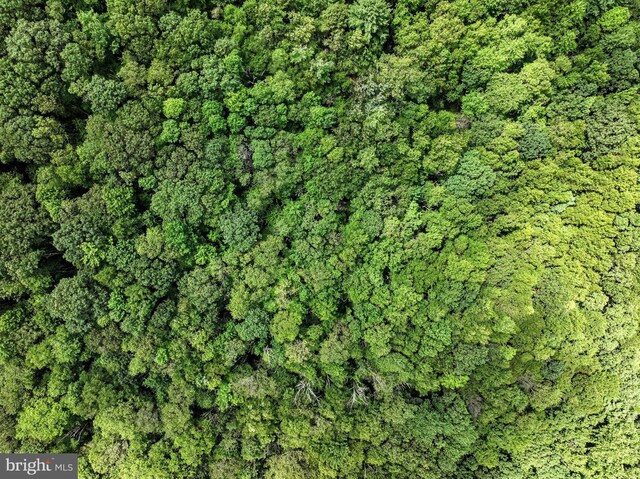 LOT3 Shermans Mountain Rd, Tremont, PA 17981