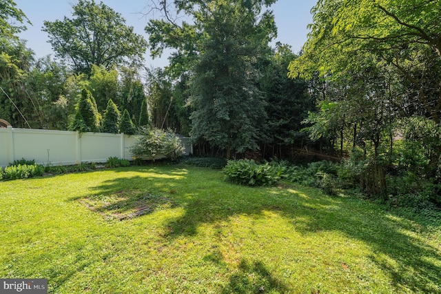 416 Copley Rd, Haddonfield, NJ 08033 - view of fenced backyard