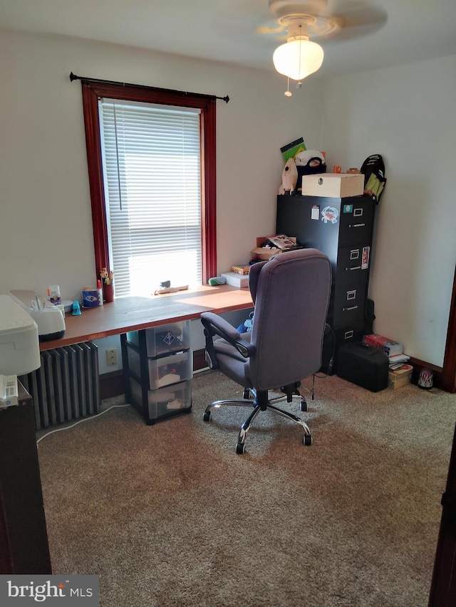 221 Princess St, Hanover, PA 17331 - home office with carpet, radiator, and ceiling fan