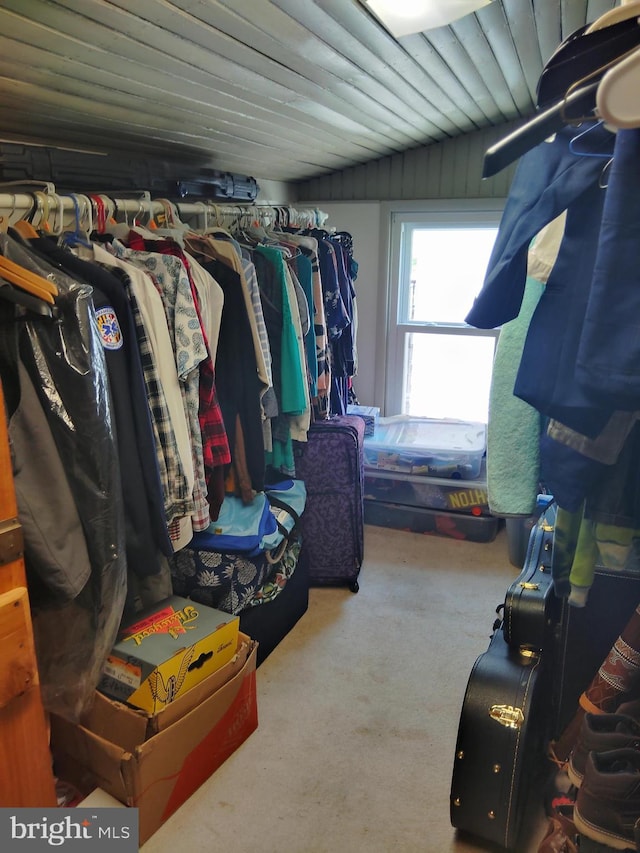 221 Princess St, Hanover, PA 17331 - spacious closet with carpet