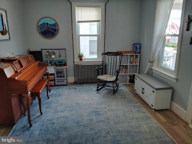 221 Princess St, Hanover, PA 17331 - sitting room with radiator heating unit and wood finished floors