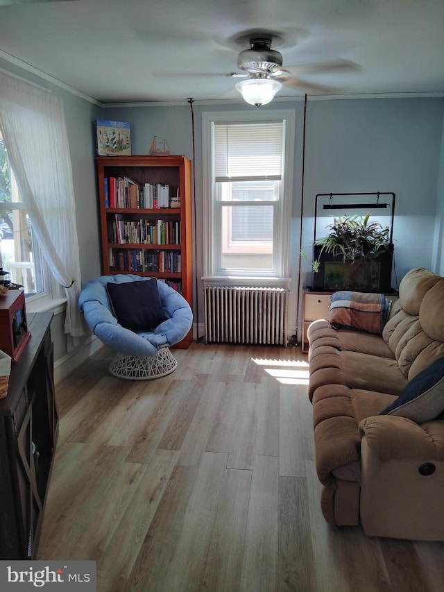 221 Princess St, Hanover, PA 17331 - living room featuring radiator heating unit, wood finished floors, plenty of natural light, crown molding, and ceiling fan