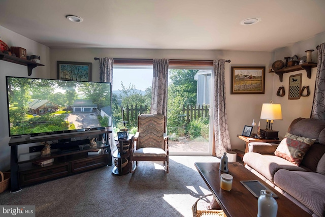 1119 Summit Ave, Front Royal, VA 22630 - carpeted living area featuring recessed lighting