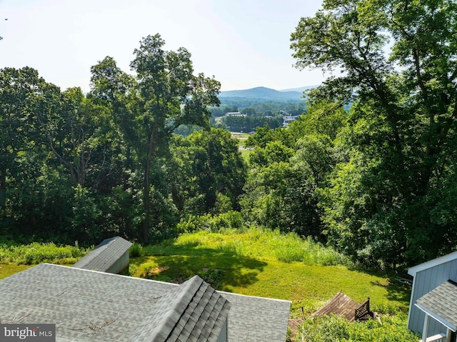 1119 Summit Ave, Front Royal, VA 22630 - mountain view