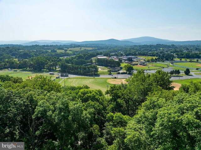 1119 Summit Ave, Front Royal, VA 22630 - view of mountain backdrop