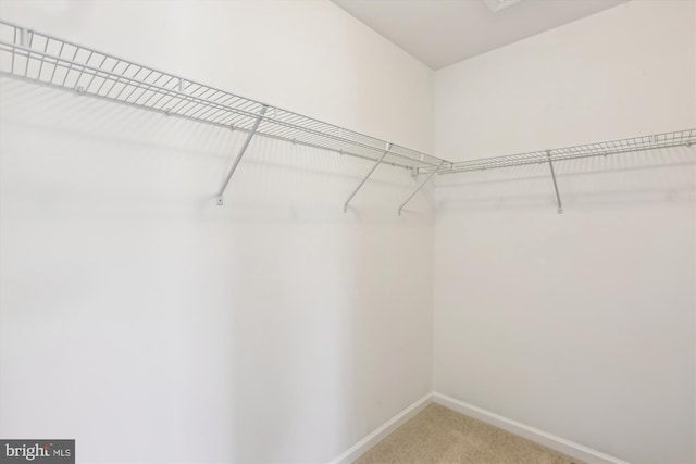 12814 Sutherby Ln, Germantown, MD 20874 - walk in closet featuring light colored carpet