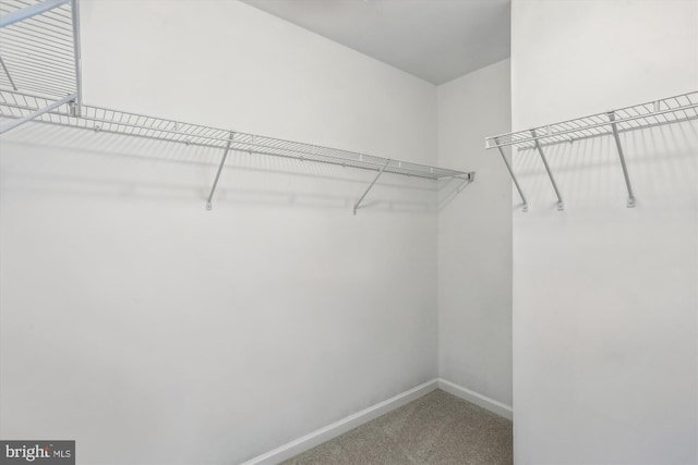 12814 Sutherby Ln, Germantown, MD 20874 - walk in closet featuring carpet floors