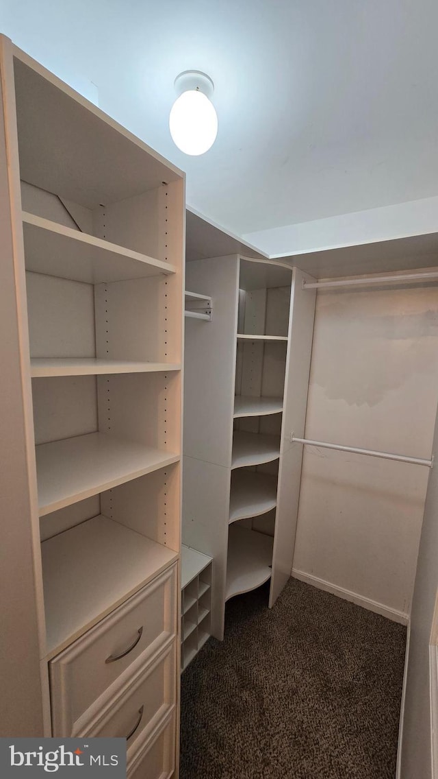 1055 View St, Hagerstown, MD 21742 - spacious closet with carpet flooring