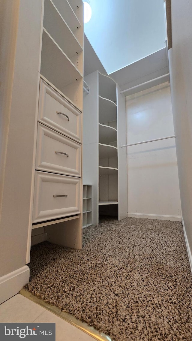 1055 View St, Hagerstown, MD 21742 - view of walk in closet