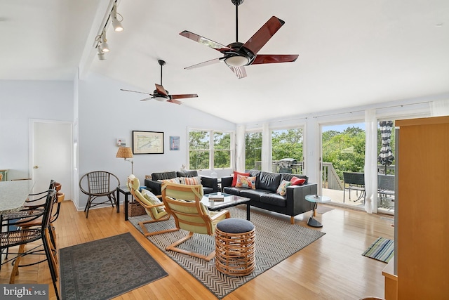 365 Dusty Miller Dr, Long Beach, NJ 08008 - living room with rail lighting, light wood-type flooring, lofted ceiling, and a ceiling fan