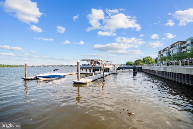 545 E Braddock Rd E Unit 302, Alexandria, VA 22314 - dock area with a water view
