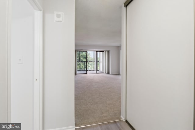 15115 Interlachen Dr Unit 3-415, Silver Spring, MD 20906 - corridor featuring carpet flooring and wood finished floors
