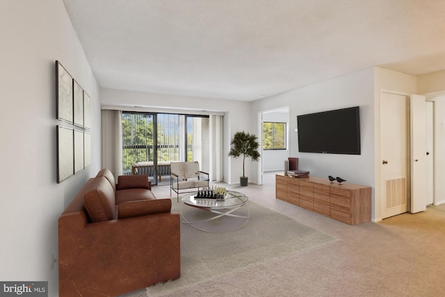 15115 Interlachen Dr Unit 3-415, Silver Spring, MD 20906 - view of carpeted living room