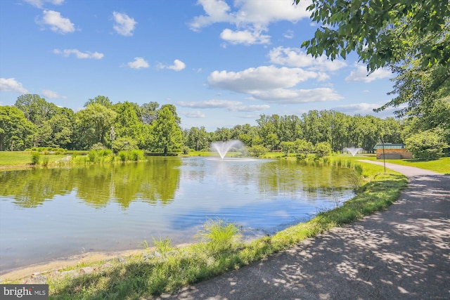 15115 Interlachen Dr Unit 3-415, Silver Spring, MD 20906 - water view
