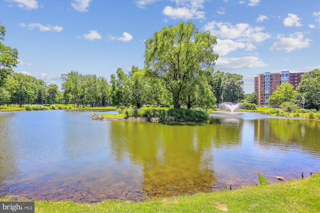 15115 Interlachen Dr Unit 3-415, Silver Spring, MD 20906 - water view