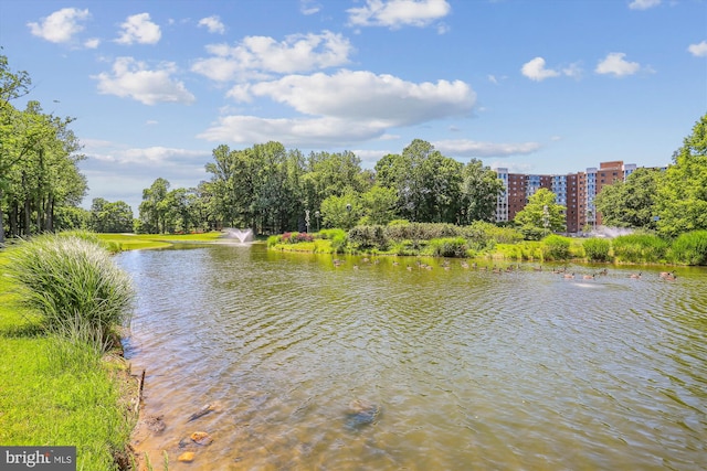 15115 Interlachen Dr Unit 3-415, Silver Spring, MD 20906 - water view
