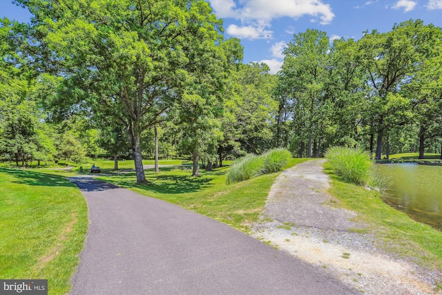 15115 Interlachen Dr Unit 3-415, Silver Spring, MD 20906 - view of home's community featuring a lawn and view of wooded area