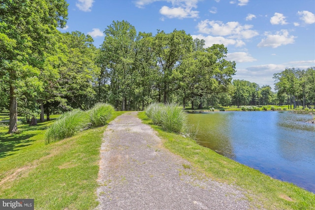 15115 Interlachen Dr Unit 3-415, Silver Spring, MD 20906 - water view