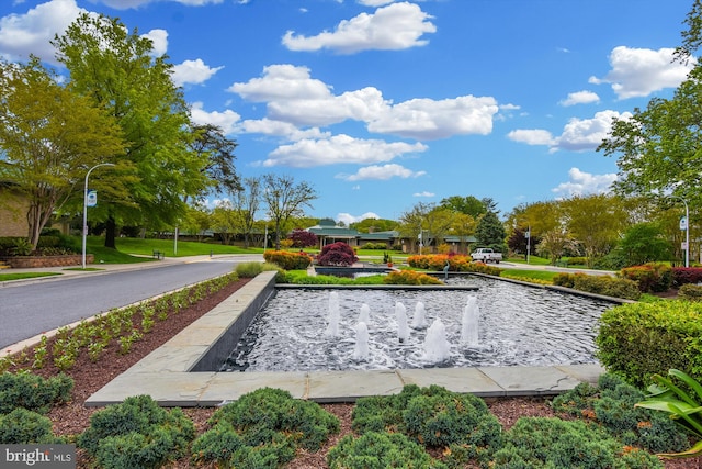 15115 Interlachen Dr Unit 3-415, Silver Spring, MD 20906 - view of home's community