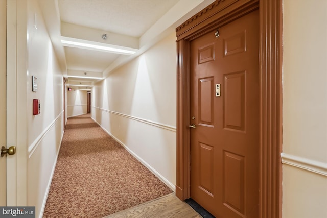 15115 Interlachen Dr Unit 3-415, Silver Spring, MD 20906 - corridor featuring carpet flooring