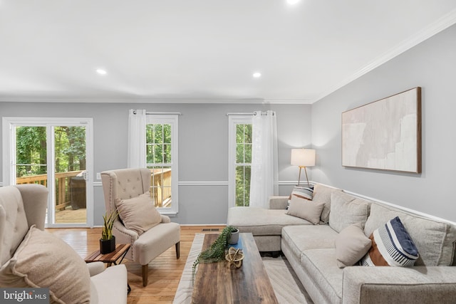 10110 Sassafras Woods Ct, Burke, VA 22015 - living area with wood finished floors, crown molding, and recessed lighting