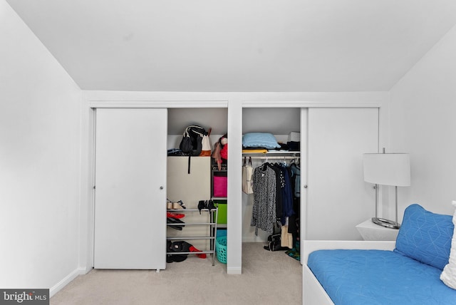 6900 Mary Caroline Cir Unit L, Alexandria, VA 22310 - view of closet