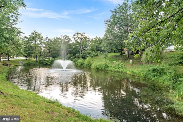 6900 Mary Caroline Cir Unit L, Alexandria, VA 22310 - water view