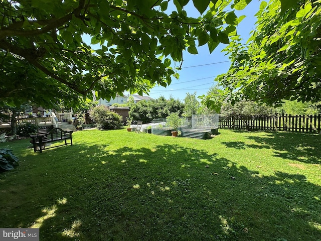 5512 Sefton Ave, Baltimore, MD 21214 - view of yard with a vegetable garden