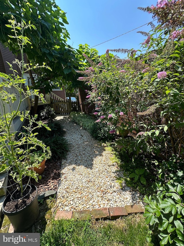5512 Sefton Ave, Baltimore, MD 21214 - view of yard