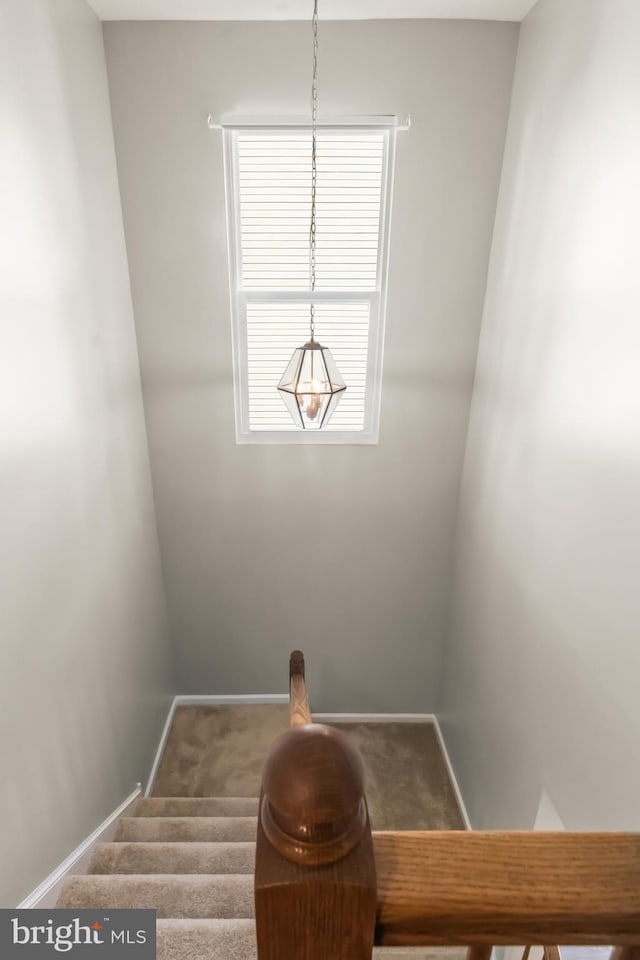 33 S Cummings Dr, Middletown, DE 19709 - stairway featuring carpet