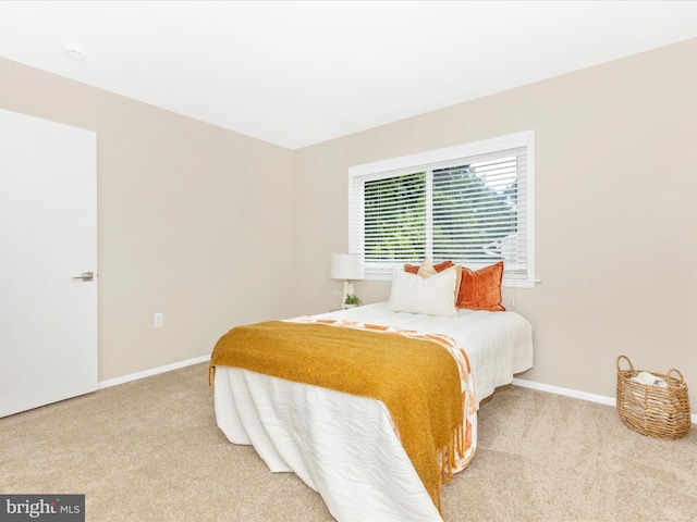 12004 Cheyenne Rd, Gaithersburg, MD 20878 - bedroom with carpet floors and baseboards