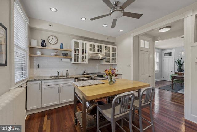 3301 Beech Ave, Baltimore, MD 21211 - kitchen featuring radiator heating unit, under cabinet range hood, stainless steel range, white cabinetry, and backsplash