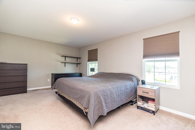 883 N Hanover St, Pottstown, PA 19464 - bedroom featuring multiple windows and light carpet