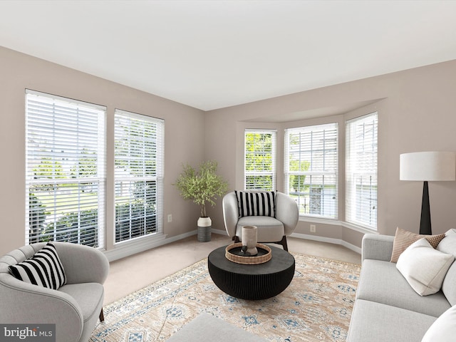 1402 Marian Way, Mount Airy, MD 21771 - sitting room featuring carpet flooring and healthy amount of natural light