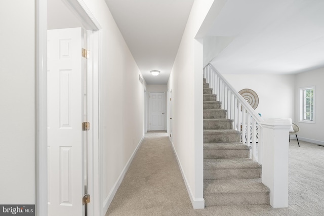 3409 Old York Rd, Furlong, PA 18925 - staircase with carpet floors and baseboards