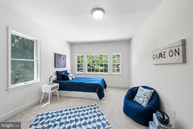 3409 Old York Rd, Furlong, PA 18925 - bedroom featuring carpet flooring and baseboards