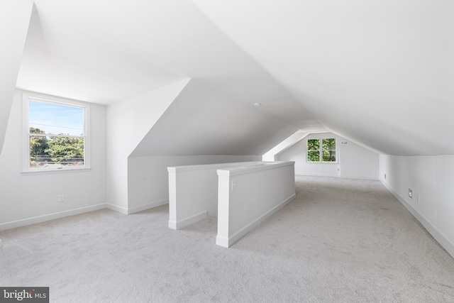 3409 Old York Rd, Furlong, PA 18925 - additional living space with light colored carpet and vaulted ceiling